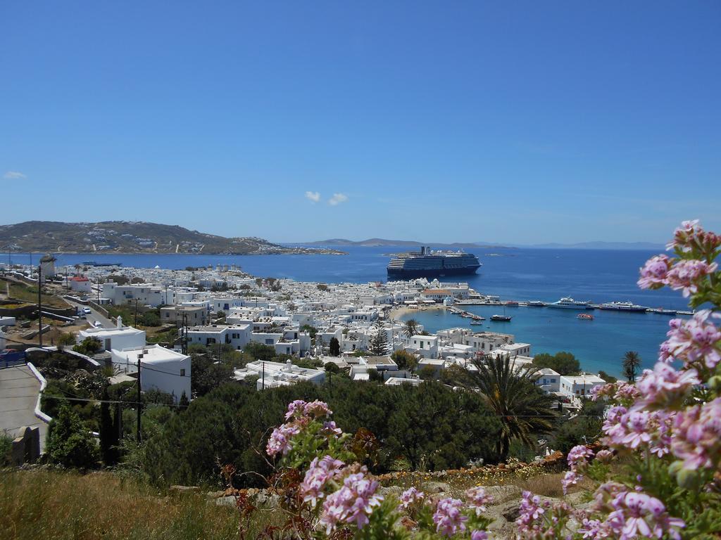 La Veranda Of Mykonos Traditional Guesthouse Mykonos Town Dış mekan fotoğraf