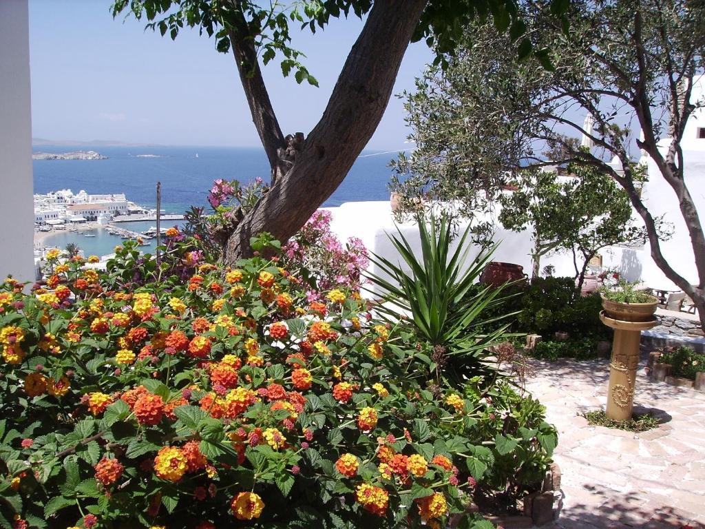 La Veranda Of Mykonos Traditional Guesthouse Mykonos Town Dış mekan fotoğraf